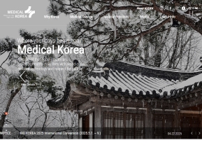 메디컬 코리아 영문 인증 화면